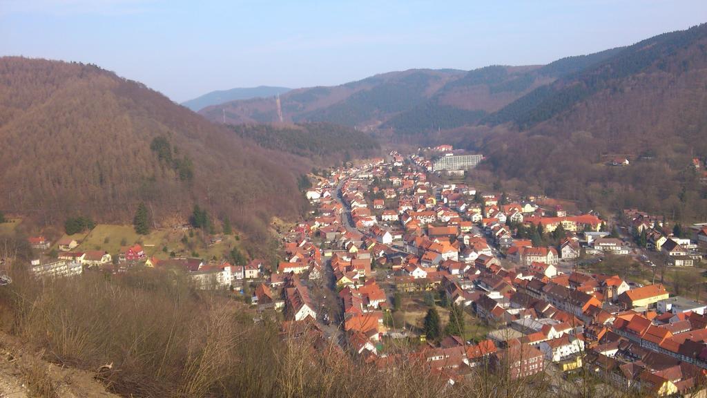 Ferienwohnung Am Paradies Bad Lauterberg Extérieur photo